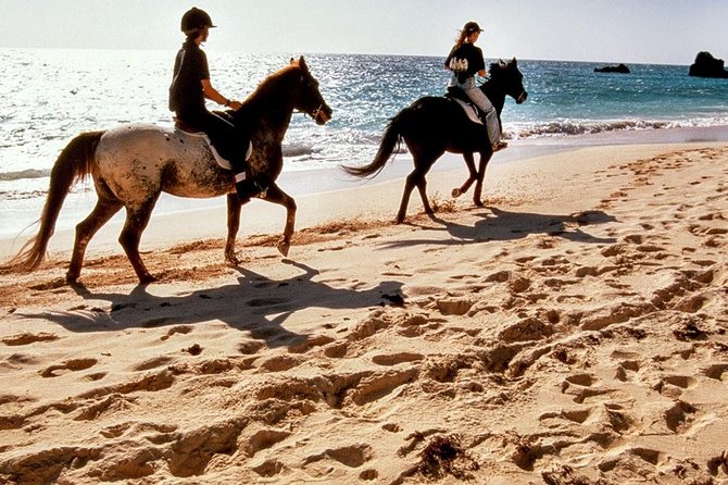 Krabi Horse Riding at Ao Nam Mao Beach - Krabi Horse Riding at Ao Nam Mao Beach: Key Takeaways