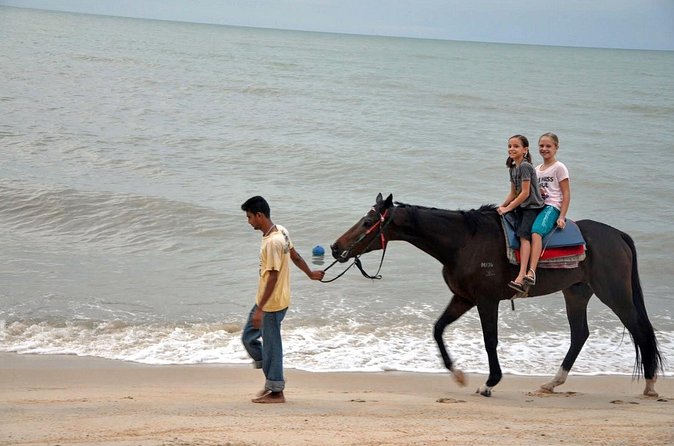 Krabi Horse Riding at Ao Nam Mao Beach - Groups, Guides, and the “Two-Way” Experience