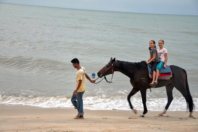 Krabi Horse Riding at Ao Nam Mao Beach - Animal Welfare: What Looks Good, What Should Make You Ask Questions