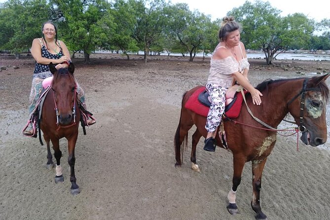 Krabi Horse Riding at The Beach - Your ride day, step by step