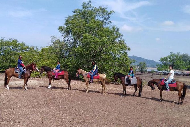 Krabi Horse Riding at The Beach - The horse matching factor: what you should pay attention to