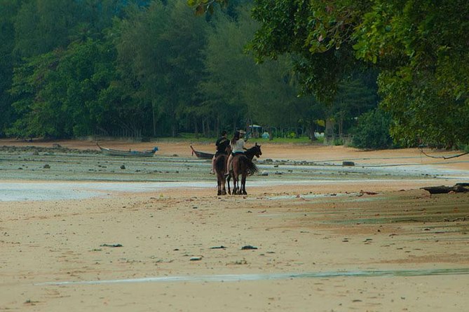 Krabi Horse Riding at The Beach - Forest, village, and beach: why the route feels worth it