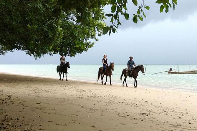 Krabi Horse Riding at The Beach - Choose your ride time: morning, afternoon, or sunset
