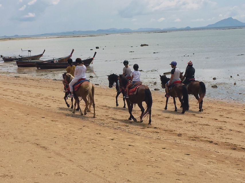 Krabi: Horseback Riding on the Beach - Key Highlights You Should Actually Care About