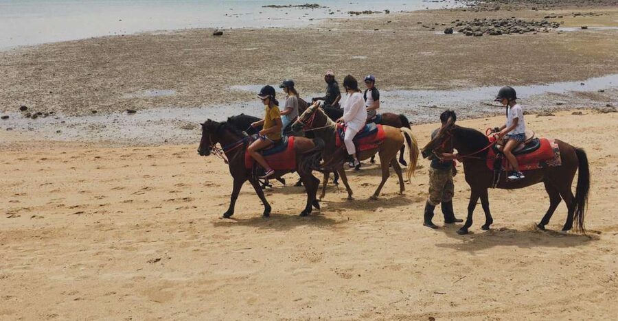 Krabi: Horseback Riding on the Beach - Fossil Beach Stops Near Ban Laem Pho, Why These Pauses Feel Worth It