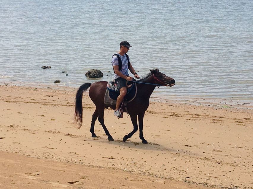 Krabi: Horseback Riding on the Beach - Sunset Option, Watching the Gulf Turn Gold From the Shore