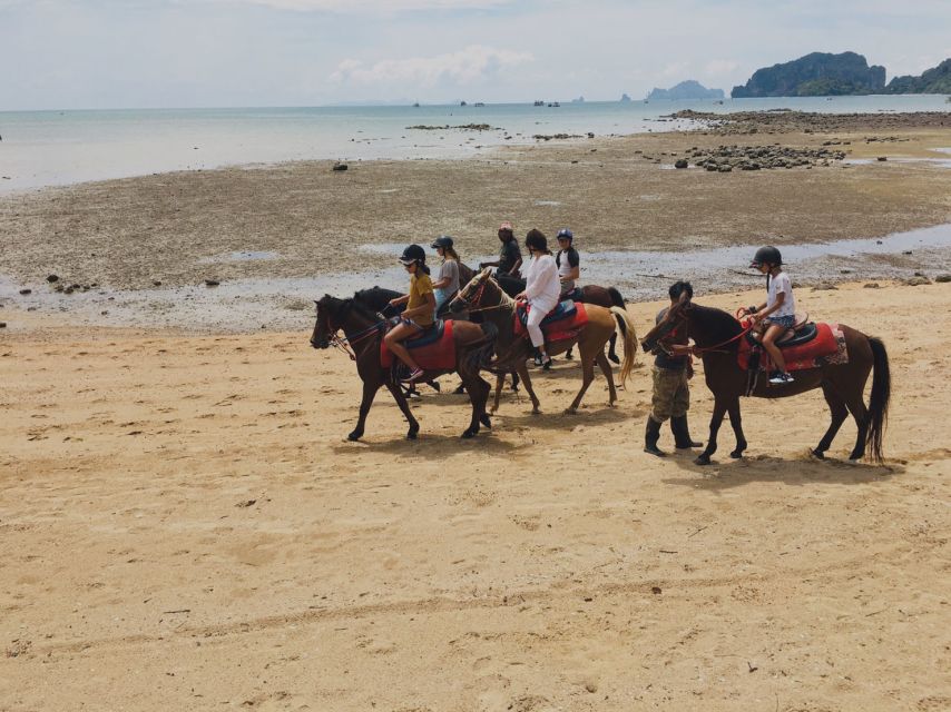 Krabi: Horseback Riding on the Beach - Mosquitoes, Mud, and Other Ground Reality Checks (So You’re Not Surprised)