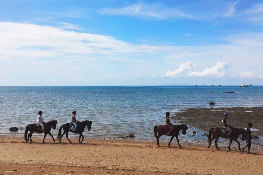 Krabi: Horseback Riding on the Beach - What’s Included in the $62, and Why the Value Can Make Sense
