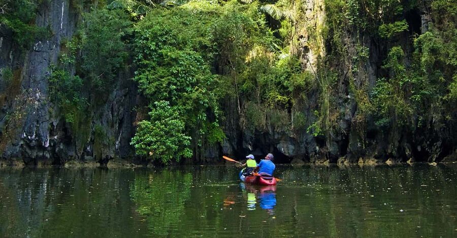Krabi: Kayak Adventure through Ao Thalane Mangrove Forest - Key points to know before you go