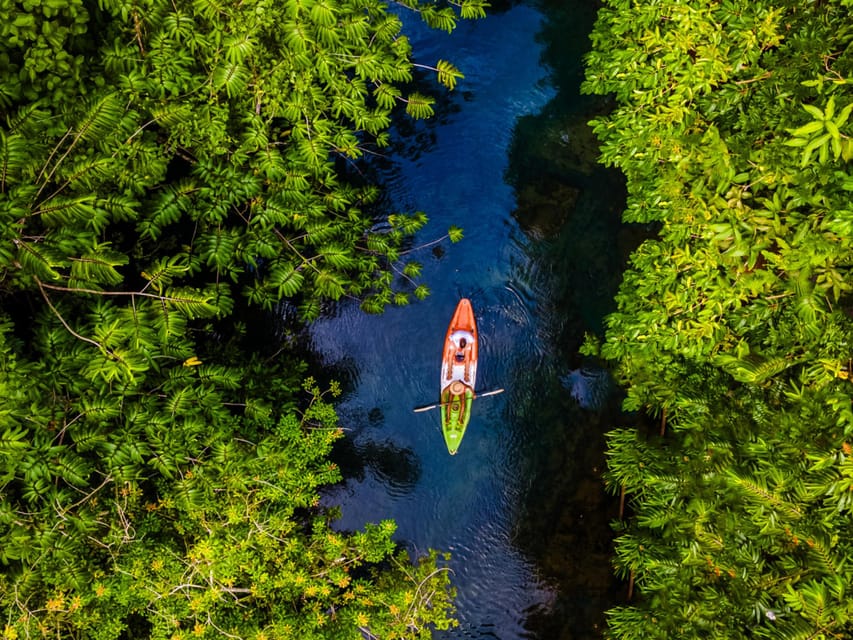Krabi: Kayak Adventure through Ao Thalane Mangrove Forest - Morning vs afternoon: tide and route changes you can plan for