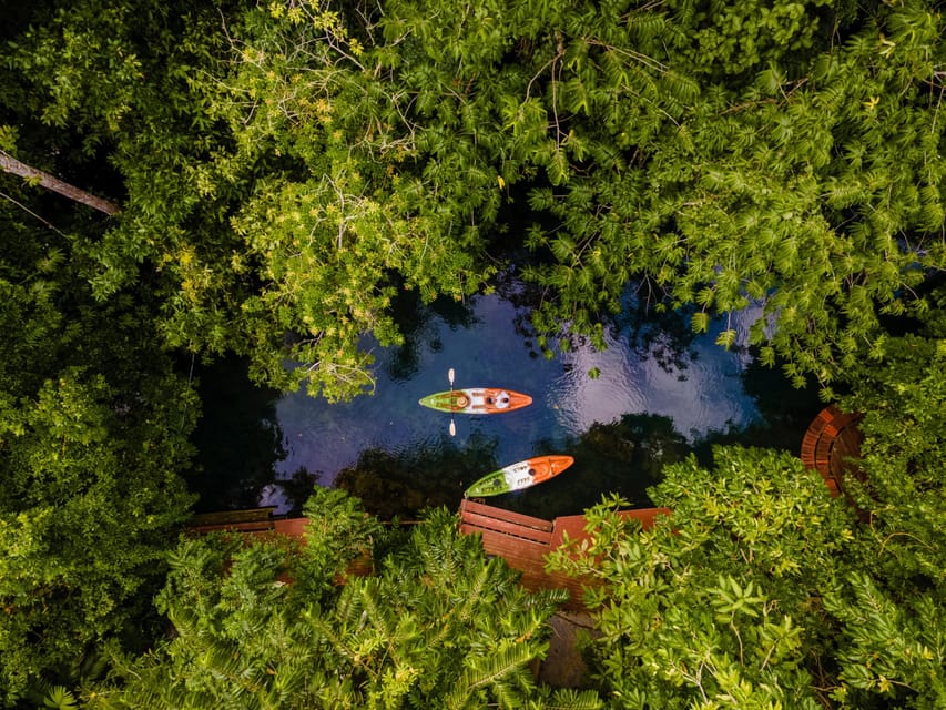 Krabi: Kayak Adventure through Ao Thalane Mangrove Forest - The Crocodile Cave stop: the moment most people remember
