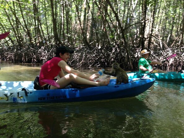 Krabi kayak at Ao Thalane - Key highlights worth planning for