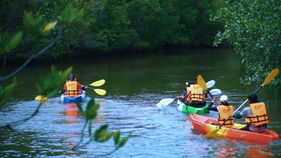 Krabi: Kayak in Mangrove Forest with Meal Aonang - Key points I think you’ll care about