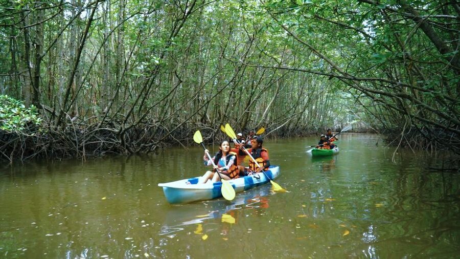Krabi: Kayak in Mangrove Forest with Meal Aonang - Krabi kayak in mangroves, where the calm feels earned