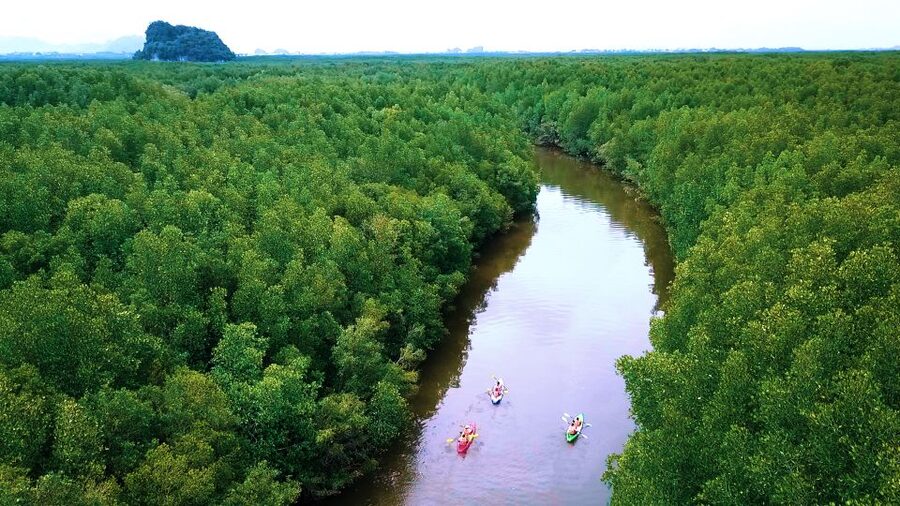 Krabi: Kayak in Mangrove Forest with Meal Aonang - Limestone scenery and photo moments without the scramble