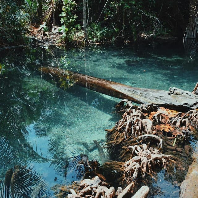 Krabi kayaking and swimming clongrood Tour - Key things to love about this Krabi kayak and swim tour
