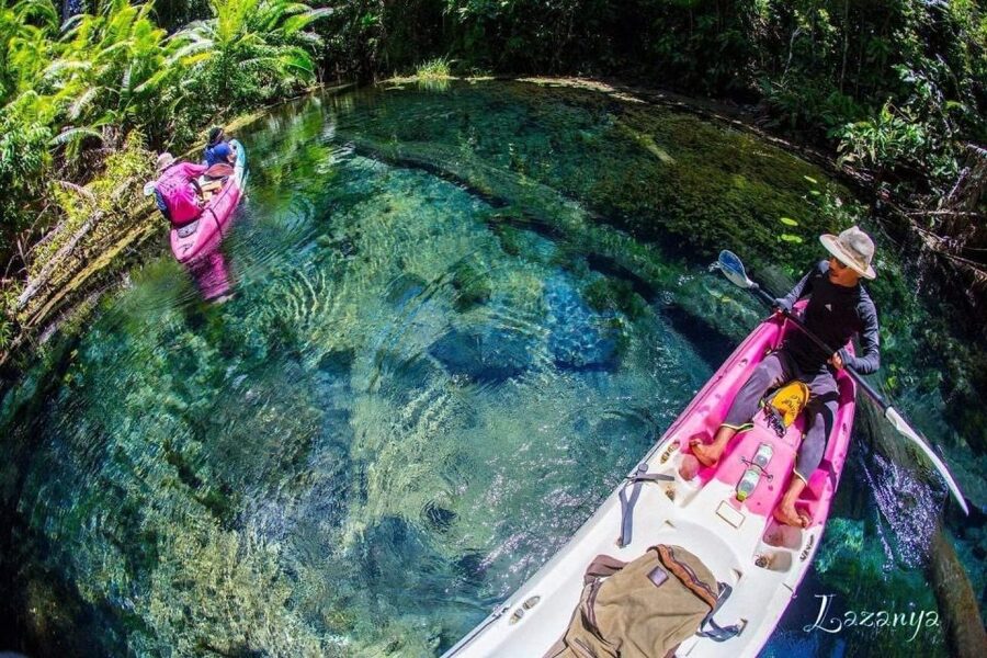 Krabi kayaking and swimming clongrood Tour - Price and value: what $26 includes that most tours charge extra for
