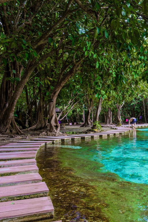 Krabi: Kayaking, Crystal Lagoon, and Fish Spa in Klong Root - Key highlights worth caring about