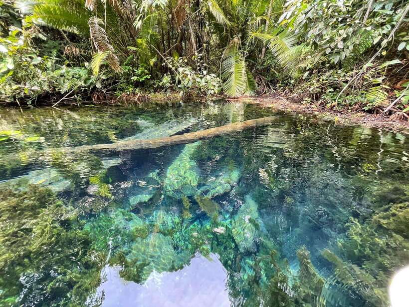 Krabi: Klong Root (Crystal lake) Kayaking tour - Key highlights to look forward to