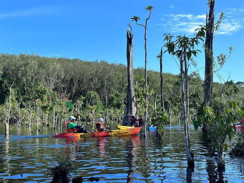 Krabi: Klong Root (Crystal lake) Kayaking tour - Klong Root crystal lake: what the water is really like