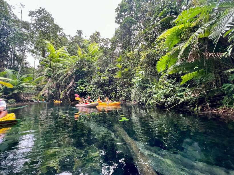 Krabi: Klong Root (Crystal lake) Kayaking tour - Getting there from Ao Nang, Krabi Town, Sai Thai, Pak Nam, and Nong Thale