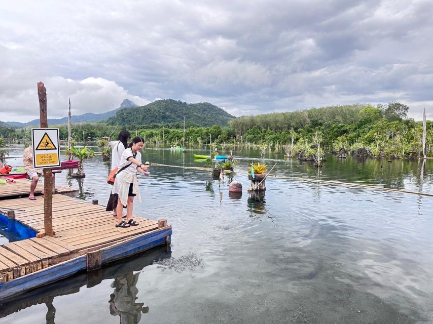 Krabi: Klong Root Kayaking Viewpoint,Fish Feeding and more - Fish feeding at the pier: a small moment with big payoff