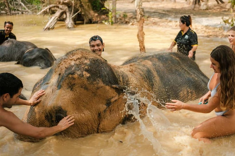 Krabi: Love Elephant Sanctuary Tour - Key highlights you will remember