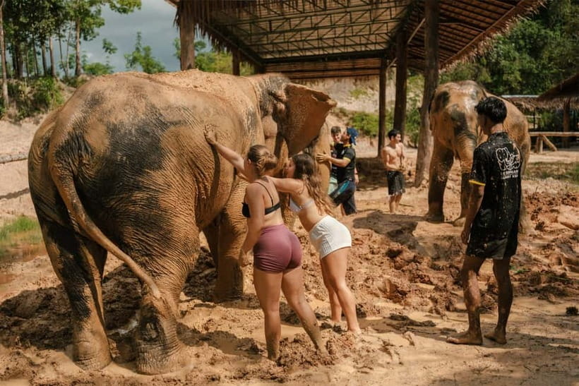 Krabi: Love Elephant Sanctuary Tour - Should you book the 2-hour Love Elephant Sanctuary tour?