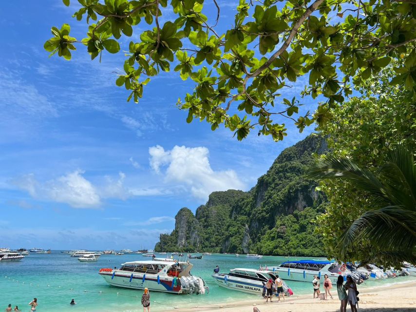 Krabi: One Day Phi Phi Island by speed boat ( Join ) - Speedboat Day Plan From Krabi to Phi Phi