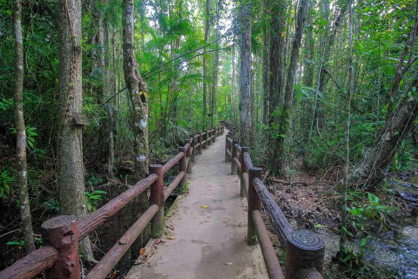 Krabi Outback Explorer to Emerald Pool & Wareerak Hotspring - Krabi Outback Explorer: The Jungle, the Swim, and the Private Soak