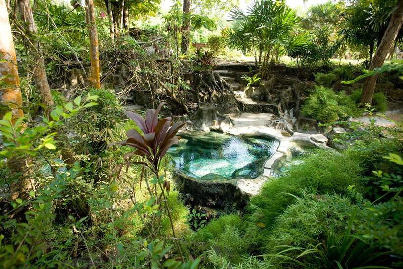 Krabi Outback Explorer to Emerald Pool & Wareerak Hotspring - Khao Pra-Bang Khram Wildlife Sanctuary: A Real Walk with Bird Clues