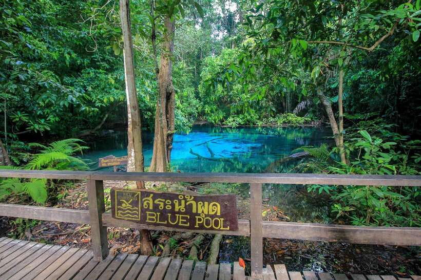Krabi Outback Explorer to Emerald Pool & Wareerak Hotspring - Wareerak Hot Spring Spa: Private Mineral Water up to 42C