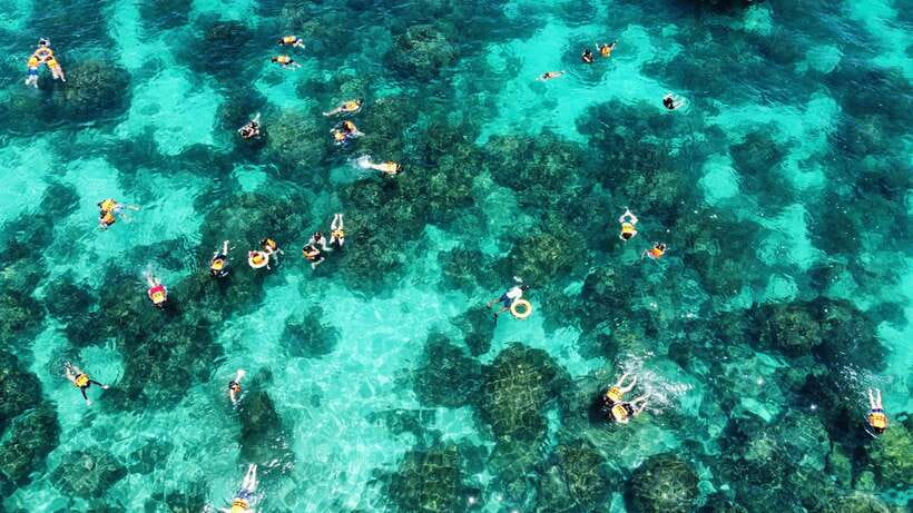 Krabi: Phi Phi and 4 Islands with Snorkeling by Speed Boat - Key things to know before you go
