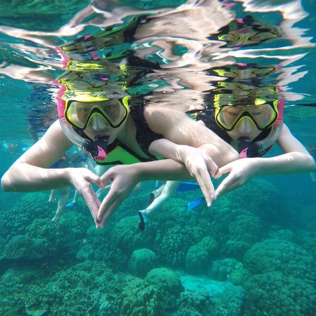 Krabi: Phi Phi Islands Speedboat Tour with Buffet Lunch - Safety and who should think twice