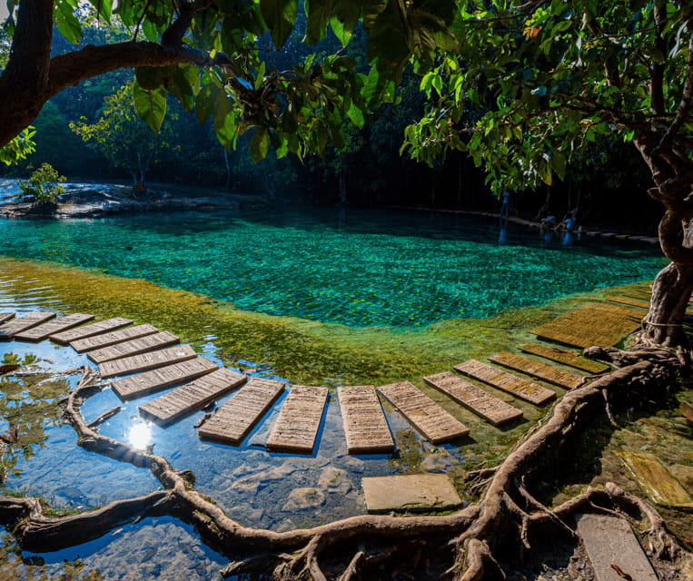 Krabi: Rainforest Jungle Tour with Emerald Pool & Hot Spring - What you are really signing up for in Krabi
