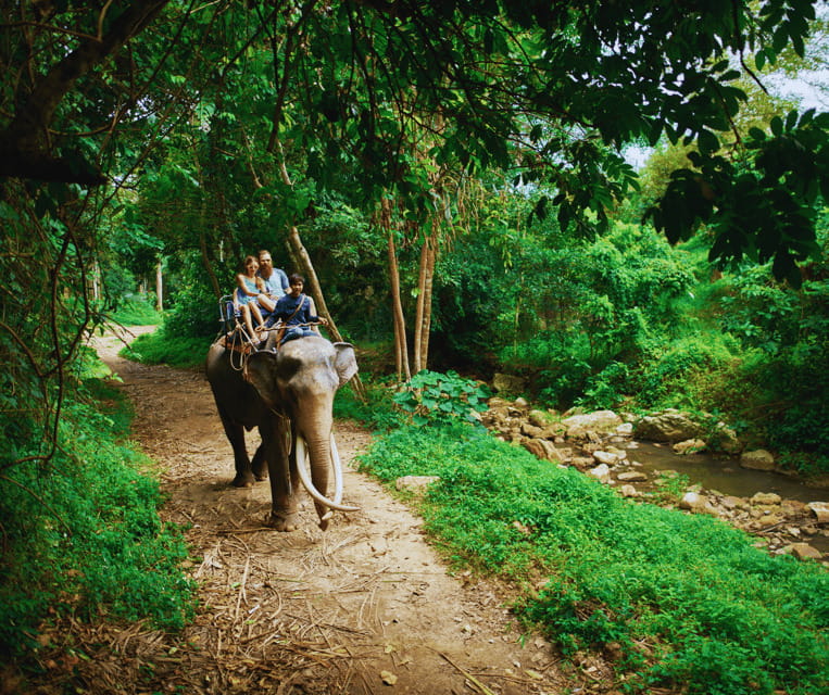 Krabi: Rainforest Jungle Tour with Emerald Pool & Hot Spring - Price and value: is $48 a fair deal?
