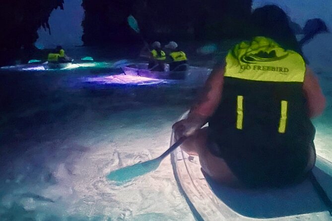 Krabi Stand-Up Paddleboard Illuminated Night Tour - Krabi bioluminescent SUP at 6 PM: why the timing matters