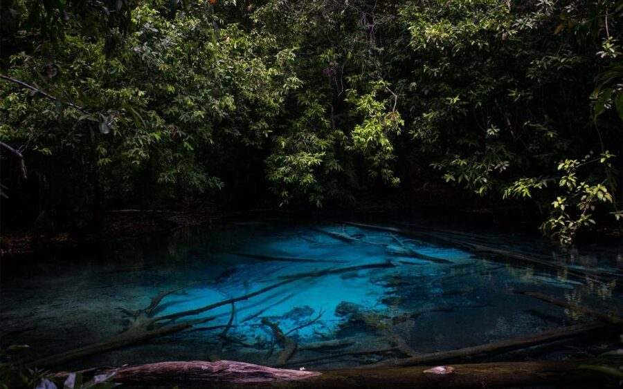 Krabi: Tiger Cave, Hot Springs and Emerald Pool Jungle Tour - Hot Springs Waterfall and Thermal Pools: The Best Pain Relief You Did Not Know You Needed