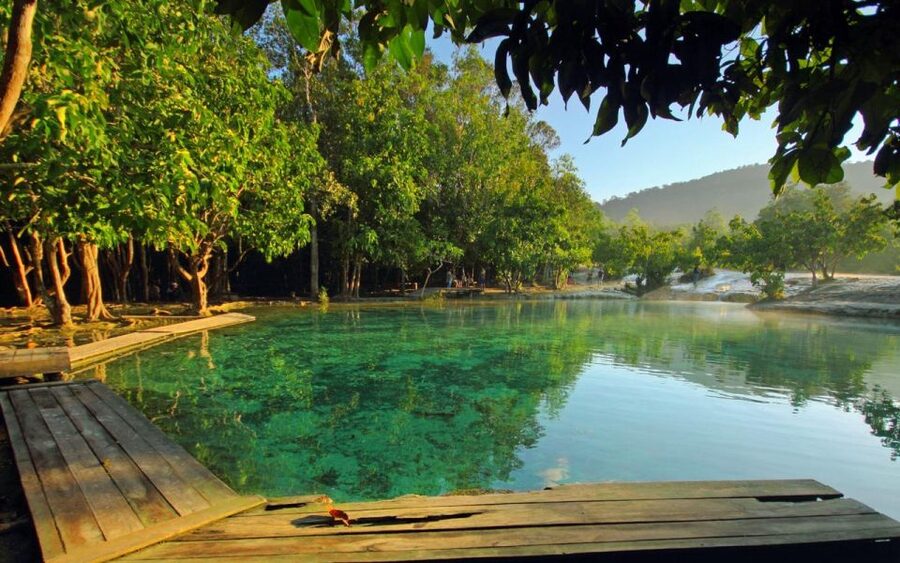 Krabi: Tiger Cave, Hot Springs and Emerald Pool Jungle Tour - Thung Teao Jungle Walk and Emerald Pool: Swimming in a Jungle Pocket