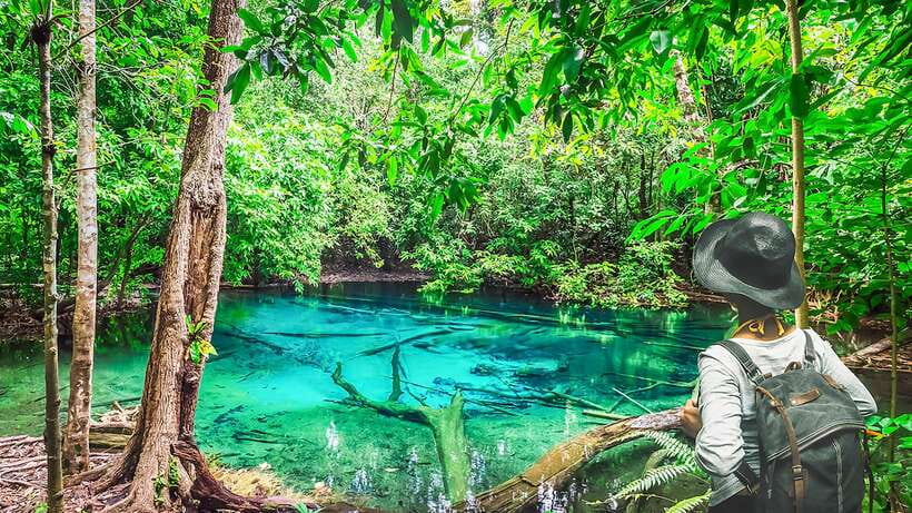Krabi: Tiger Cave Temple, Emerald Pool and Hot Springs Tour - Why this Krabi day tour works so well