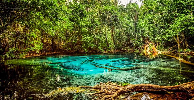 Krabi: Tiger Cave Temple, Emerald Pool and Hot Springs Tour - Stop 2: Blue Pool (Blue Lagoon) and why it’s worth the photo walk