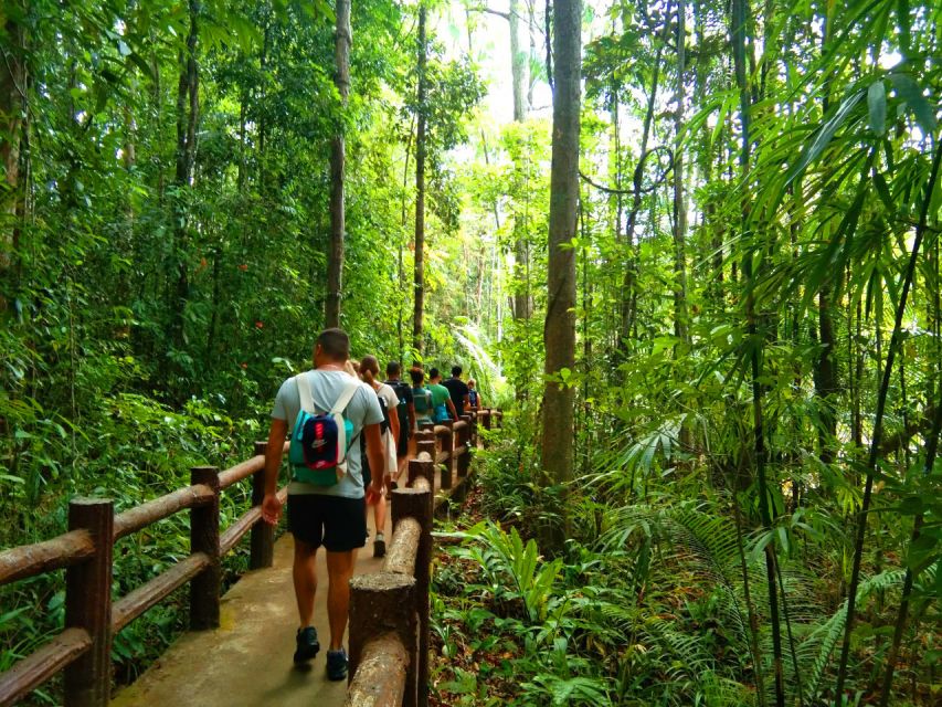 Krabi: Tiger Temple, Hot Springs & Crystal Pool Jungle Tour - A One-Trip Snapshot of Krabi’s Jungle, Pools, and Temple Views