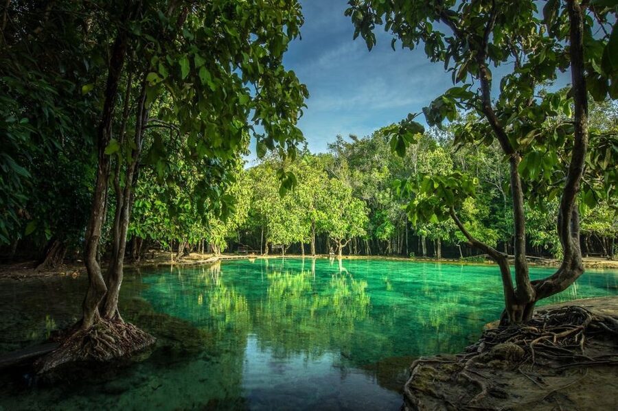 Krabi: Tiger Temple, Hot Springs & Crystal Pool Jungle Tour - Getting Picked Up, East Railay Meeting Point, and Drop-Offs