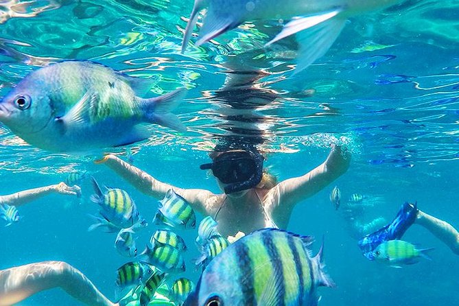 Krabi to Phi Phi Islands by Speedboat - Guides make the day: Woody, Jim, Bank, and Micky as examples