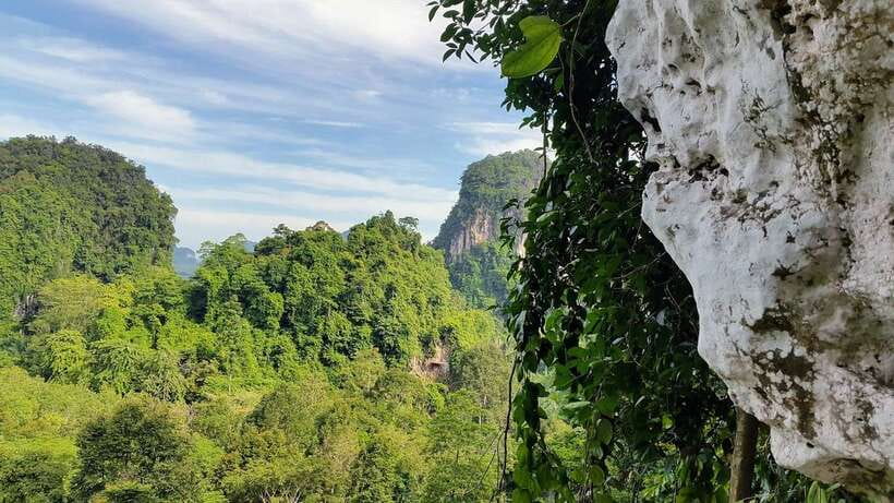 Krabi: Ziplining with Abseiling and Rock Climbing Options - Abseiling on Limestone: What 70 Meters Means in Real Life