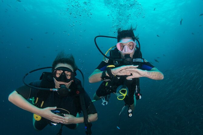 La Bombona Diving Koh Tao Open Water Course - Key things that make La Bombona’s Open Water course work