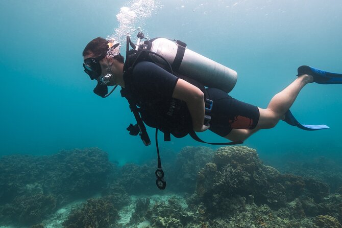 La Bombona Diving Koh Tao Try Dive - Price and value: what $96.80 actually buys you