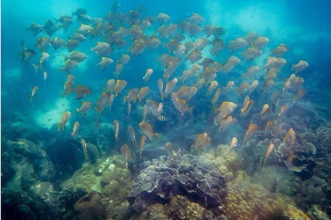 Laem Chabang to Bangkok Landmarks with Entrance Tickets & Lunch - Tickets and what you are paying for at $180 per person