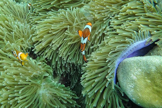 Lanta 4 Islands + Emerald Cave Snorkeling Tour - Ko Muk: quieter island time with beaches and caves