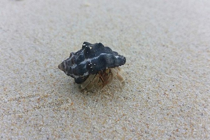 Lanta 4 Islands + Emerald Cave Snorkeling Tour - Boat time and group pace: why bumpy seas are part of the deal